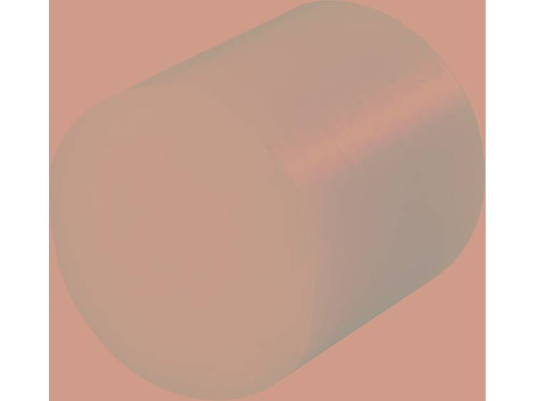 Polyamide-Ronde staaf (Ø x l) 60 mm x 60 mm