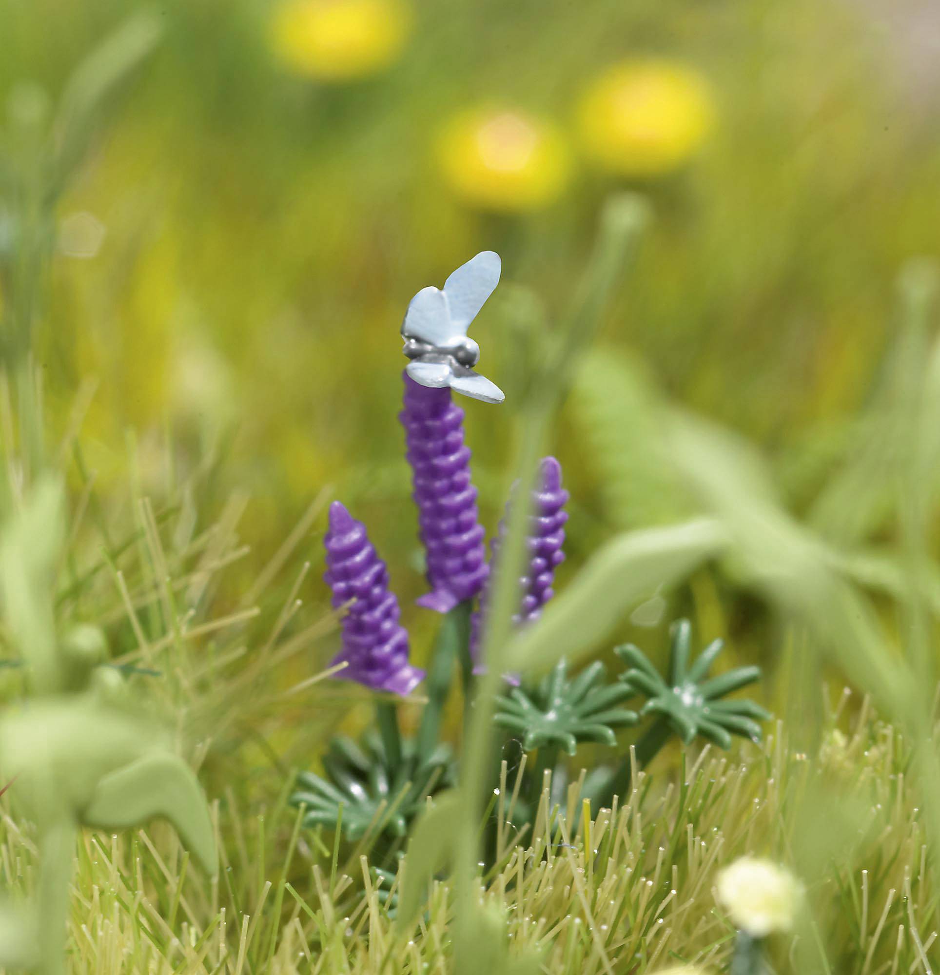 Een close-up toont een kleine, blauw glinsterende libel die zit op twee paarse bloemen temidden van groene planten en grassen.