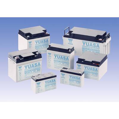 Verschillende Yuasa-batterijen van verschillende formaten en capaciteiten tegen een blauwe achtergrond, een bekend product voor cyclische toepassingen.