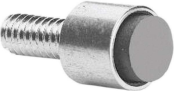 ZF AS101001 Bedienmagneet voor reedcontact