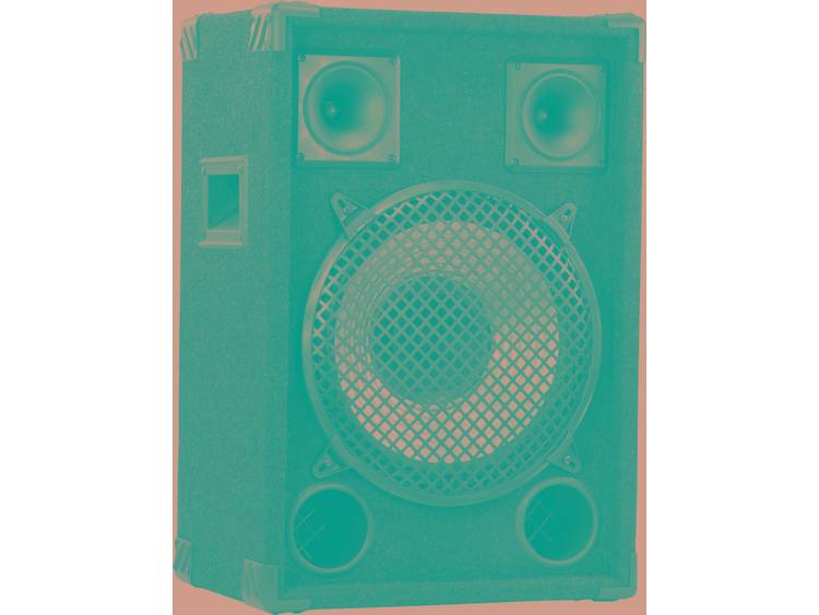 PA 1202 Party speaker 12 inch 150 W 1 stuks