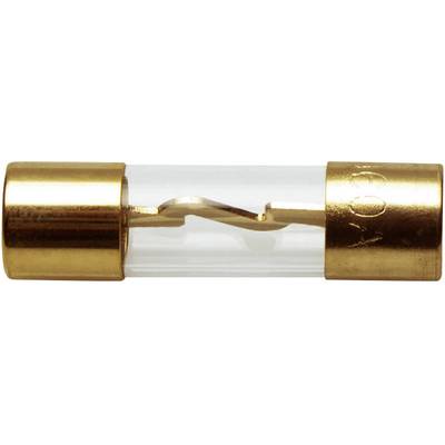 Glazen zekeringhouder met gouden eindkappen en zichtbare metalen verbinding aan de binnenkant. Wordt gebruikt voor de bescherming van elektrische schakelingen.