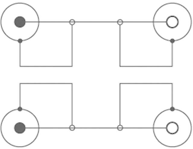 SpeaKa Professional SP-7870208 Cinch Audio Verlengkabel [2x Cinch-stekker - 2x Cinch-koppeling] 10.00 m Zwart-3
