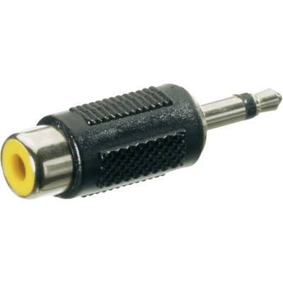 SpeaKa Professional SP-1300444  Jackplug / Cinch Audio Adapter [1x Jackplug male 3,5 mm - 1x Cinch-koppeling] Zwart