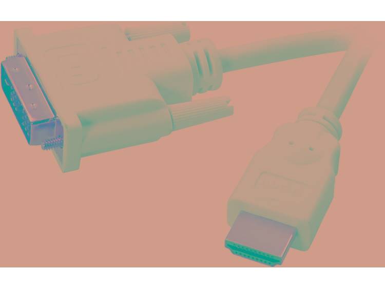 SpeaKa Professional DVI-HDMI Aansluitkabel [1x DVI-stekker 18+1-polig => 1x HDMI-stekker] 2 m Wit
