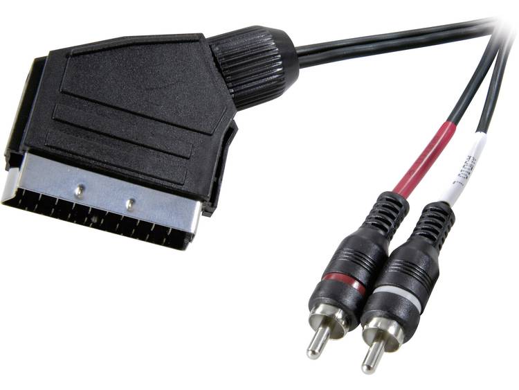 SpeaKa Professional SCART-Cinch Audio Aansluitkabel [1x SCART-stekker 2x Cinch-stekker] 2 m Zwart