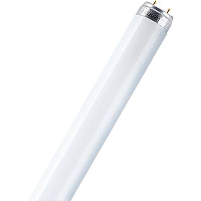OSRAM TL-lamp Energielabel: G (A - G) G13 16 W Koudwit  Buis (Ø x l) 25.5 mm x 734.2 mm  1 stuk(s)
