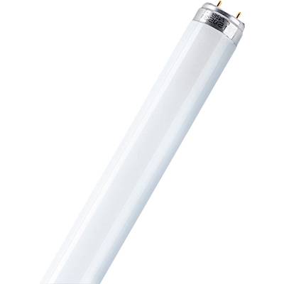 OSRAM TL-lamp Energielabel: G (A - G) G13 16 W Warmwit  Buis (Ø x l) 25.5 mm x 734.2 mm  1 stuk(s)