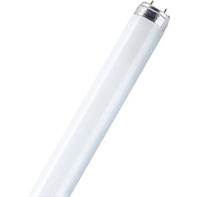 OSRAM TL-lamp Energielabel: G (A - G) G13 36 W   Buis   1 stuk(s)