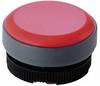 RAFI 22FS+ 1.74.508.001/2300 Verlichte kap Plat Rood 1 stuk(s)