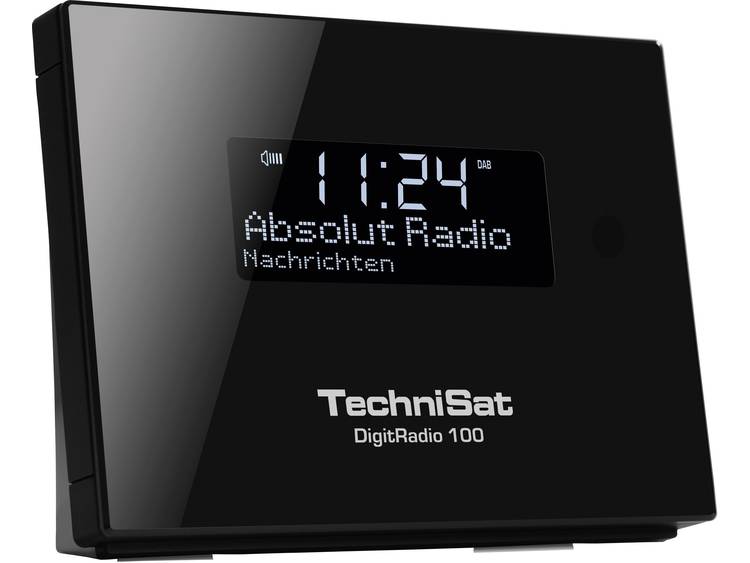 Technisat DigitRadio 100