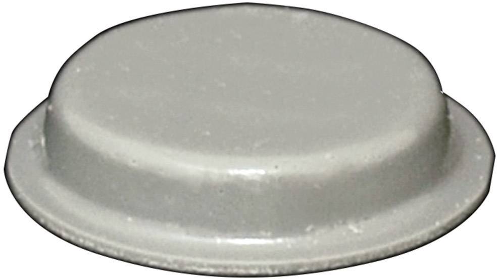 TOOLCRAFT PD2024G Apparaatvoet Zelfklevend, Rond Grijs (Ø x h) 19 mm x 4 mm 1 stuk(s)