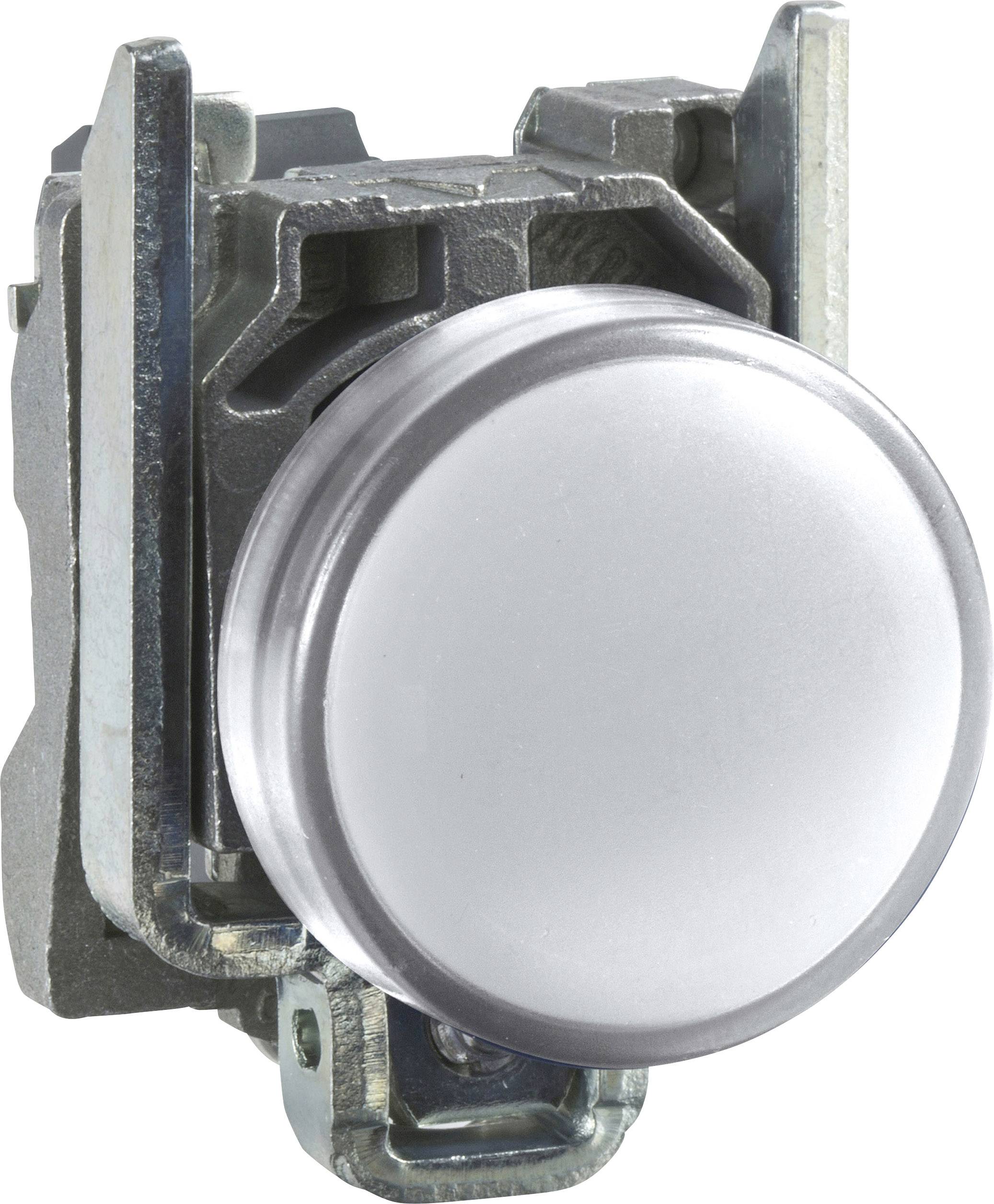 Schneider Electric XB4BVB1 Signaallamp Wit 24 V/DC, 24 V/AC 1 stuk(s)