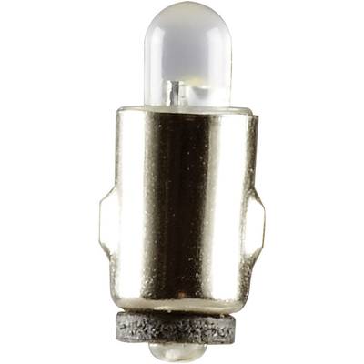  51931 LED-lamp  Wit BA5s 19 V  1 stuk(s)