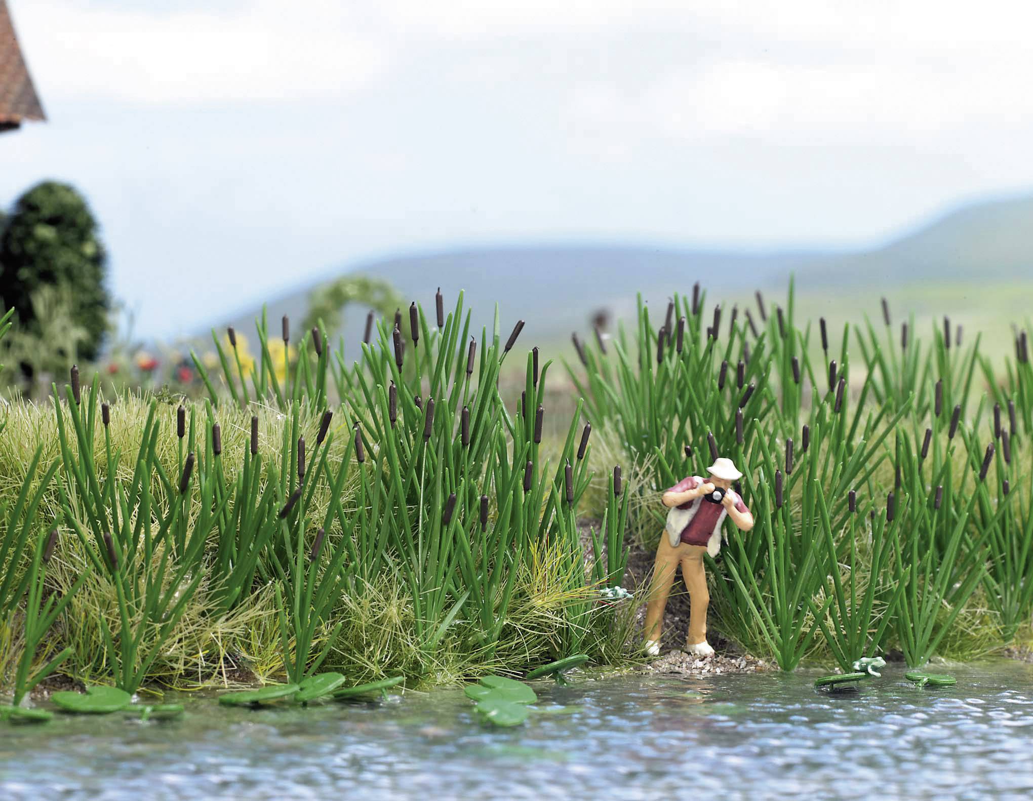 Een miniatuurpoppetje dat met een verrekijker staat aan de oever van een kleine vijver, omgeven door hoog riet en waterplanten.