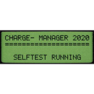 VOLTCRAFT Charge Manager CM2020 Batterijlader NiCd, NiMH AAA (potlood), AA (penlite), C (baby), D (mono), 9 V (blok)-4