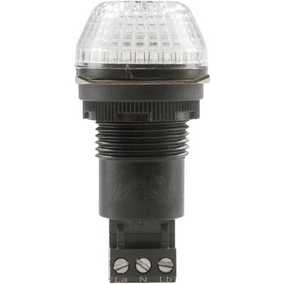 Auer Signalgeräte Signaallamp LED IBS 800504405 Helder Helder Continulicht, Knipperlicht 24 V/DC, 24 V/AC 