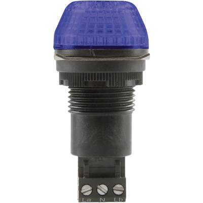 Auer Signalgeräte Signaallamp LED IBS 800505405 Blauw Blauw Continulicht, Knipperlicht 24 V/DC, 24 V/AC 