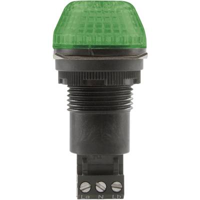 Auer Signalgeräte Signaallamp LED IBS 800506404 Groen Groen Continulicht, Knipperlicht 12 V/DC, 12 V/AC 