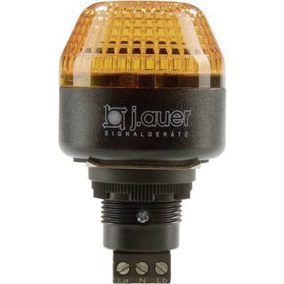Auer Signalgeräte Signaallamp LED ICM 801521405 Oranje  Flitslicht 24 V/DC, 24 V/AC 