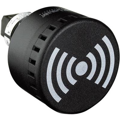 Auer Signalgeräte Signaalzoemer  814500313 ESG  Continugeluid, Pulstoon, Golftoon 230 V/AC 65 dB