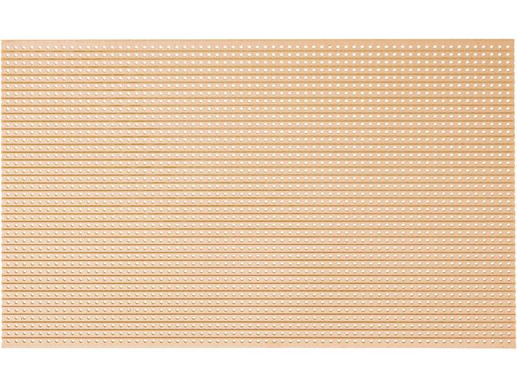 WR Rademacher Soldeerstrip rasterprintplaat WR-type 715-5 (l x b x h) 160 x 100 x 1.5 mm Rastermaat 