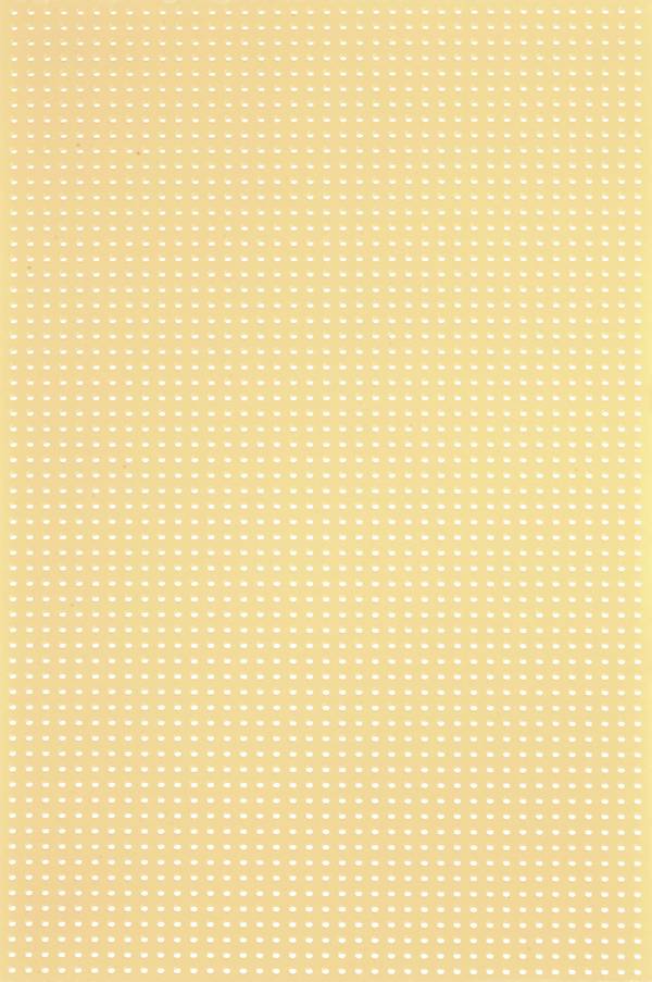 Rademacher WR-Typ 716-5 Printplaat Zonder Cu-laag Hardpapier (l x b) 16 cm x 10 cm  Rastermaat 2.5 mm Inhoud 1 stuk(s)