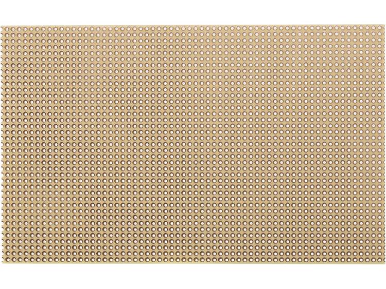 WR Rademacher Soldeer rasterbord (l x b x h) 160 x 100 x 1.5 mm Rastermaat 2,54 mm Karton