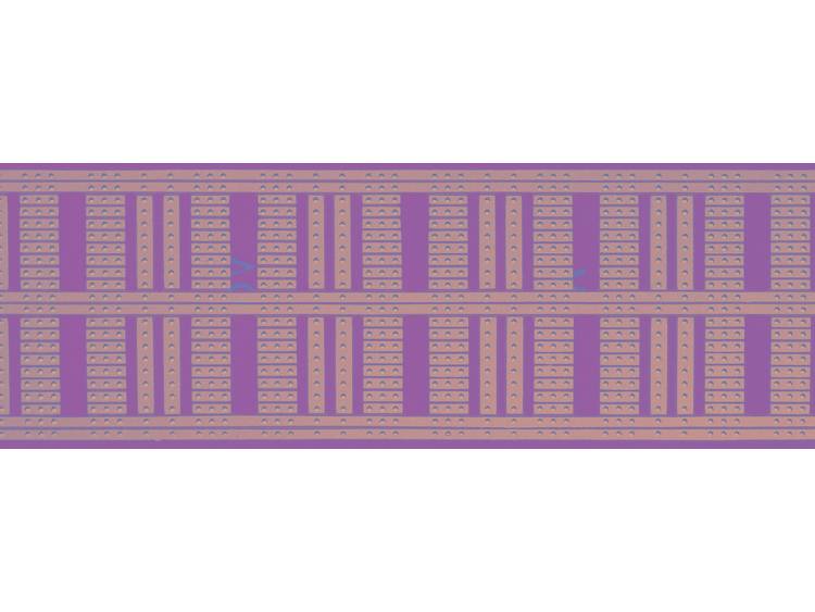 WR Rademacher Laboratoriumkaart IC-strook, zeer geschikt voor schakelingen met IC's (l x b x h) 160 