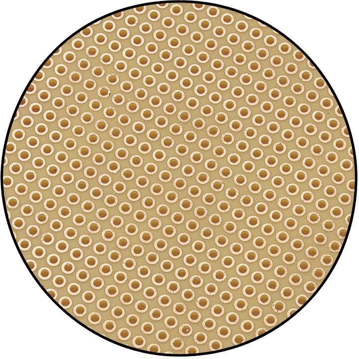 Rond, bruin printplaatdrager met gelijkmatig verdeelde gaten, zichtbaar van bovenaf.