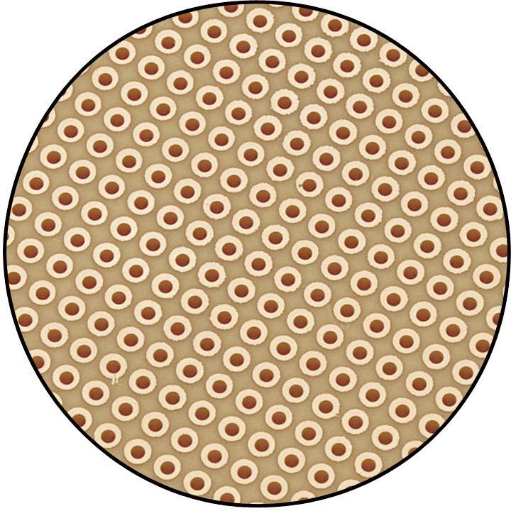 Cirkelvormig patroon van bruine en witte concentrische cirkels, gelijkmatig verdeeld op een beige achtergrond.