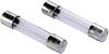 ESKA 632311 Buiszekering (Ø x l) 6.3 mm x 32 mm 0.25 A 250 V Traag -T- Inhoud 500 stuk(s)