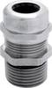 LAPP 53112005 Wartel M12 Messing Messing 1 stuk(s)