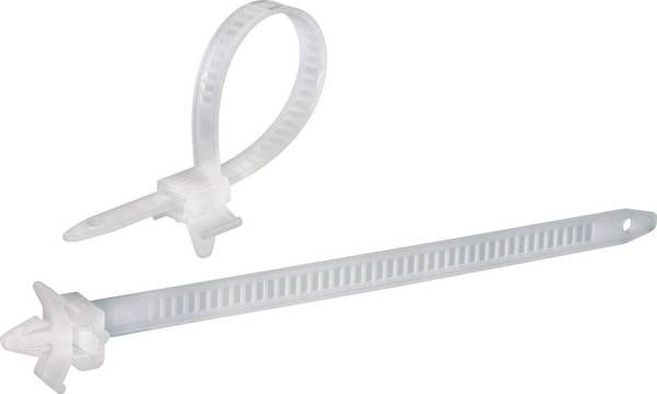 TRU COMPONENTS 1592899 TC-PHV150203 Kabelbinder 150 mm 7.90 mm Natuur Met spreidanker 100 stuk(s)