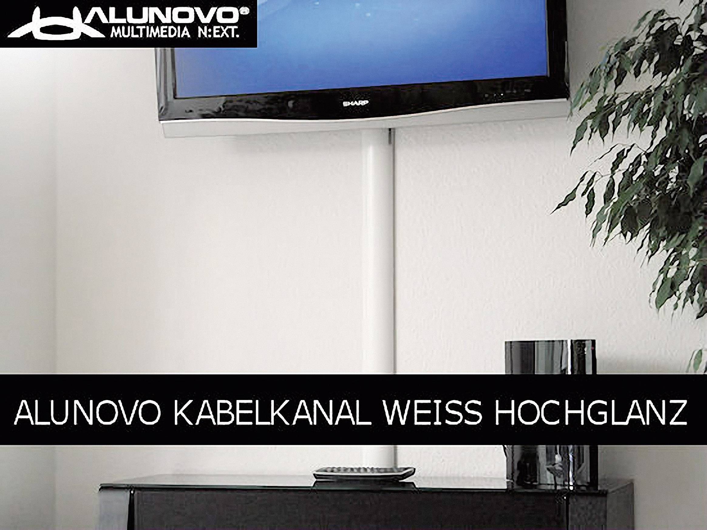 Een witte kabelgoot loopt verticaal langs een muur onder een zwarte flatscreen-tv. Ernaast staat een groene kamerplant.