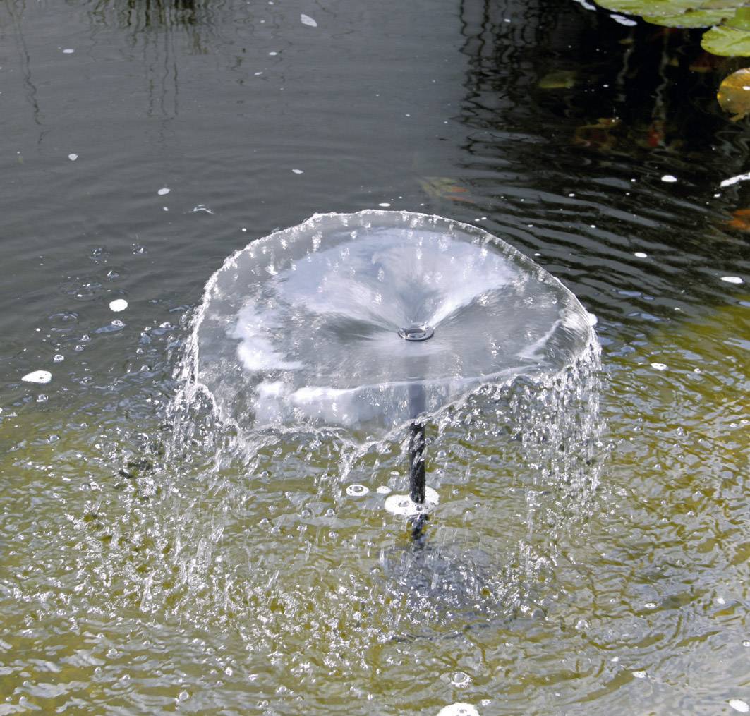 Waterspel: Een kleine fontein in de vijver spuit water omhoog in een koepelvormige beweging.