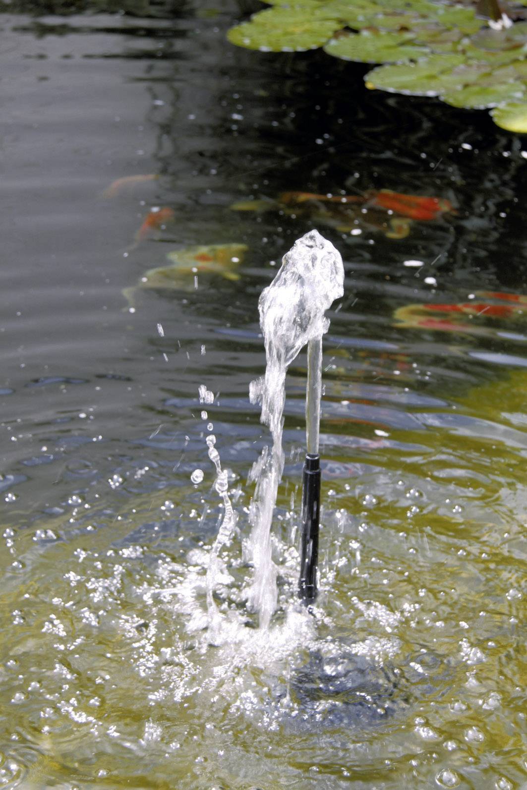 Waterspel in een vijver met bruisende waterstraal en zwemmende vissen, met waterleliebladeren op de achtergrond.