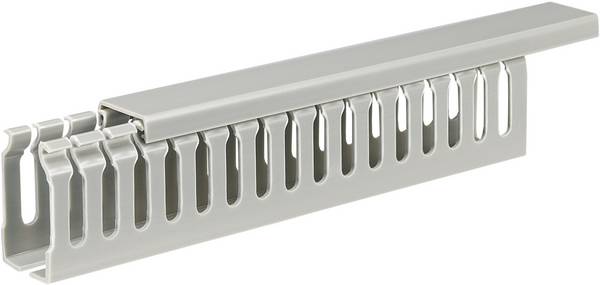 Sygonix SY-5045596 Kabelgoot (l x b x h) 2000 x 25 x 45 mm 1 stuk(s) Grijs