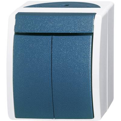 Een blauwe, dubbele wipschakelaar op een witte achtergrond, waarschijnlijk voor elektrische toepassingen.