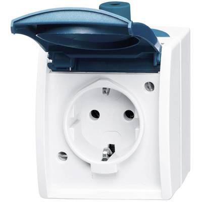 Witte buitenwandcontactdoos met blauwe klepbehuizing, geopend. Geschikt voor buitengebruik, biedt bescherming tegen water en stof.