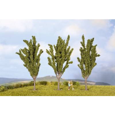 NOCH  25525 Set bomen Populier 55 tot 55 mm Groen 3 stuk(s)
