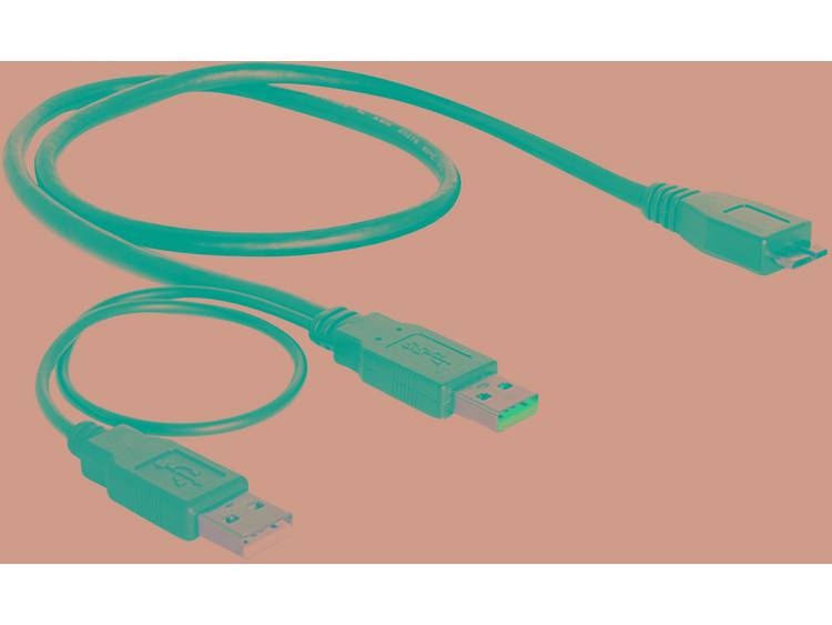 DeLOCK Cable (82909)
