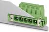 Phoenix Contact 1702500 Klemschroefblok 2.50 mm² Aantal polen 2 Groen 250 stuk(s) Package