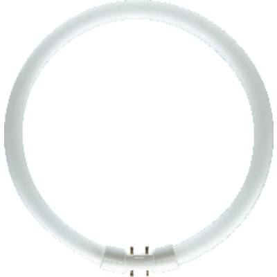 OSRAM TL-lamp Energielabel: G (A - G) 2GX13 40 W Neutraalwit 840 Ring (Ø x l) 16 mm x 305 mm  1 stuk(s)