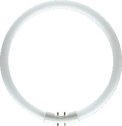 Tl Lamp 2gx13 40 W 0 Ring O X L 16 Mm X 305 Mm Energielabel A A E 1 Stuk S Conrad Nl