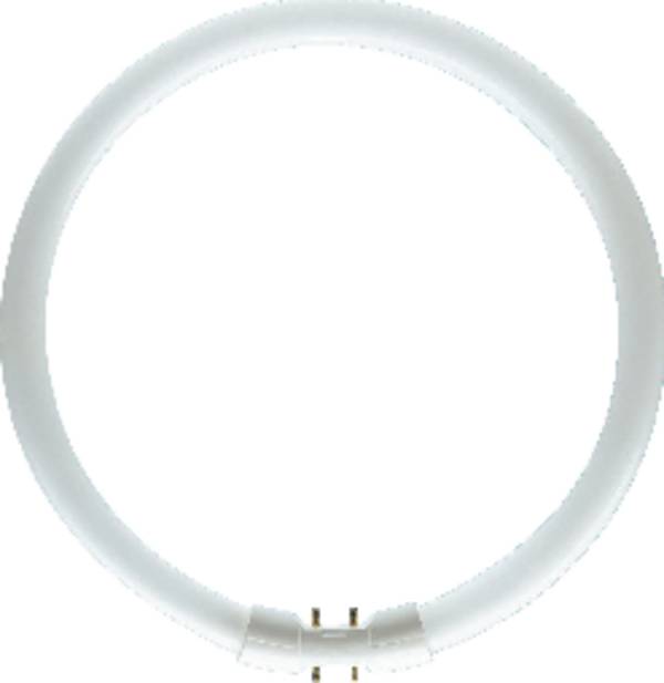 Osram Fluorescent Ring Lamp T5 FC40W 840 2GX13 Rond