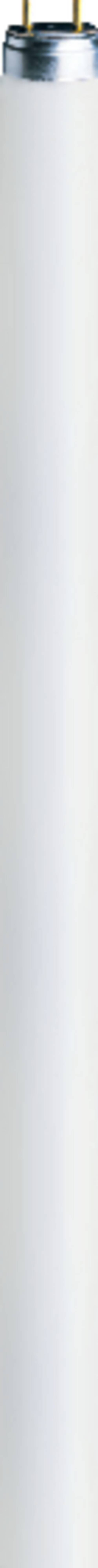 Osram fluorescentielamp L T5 8W/640 G5