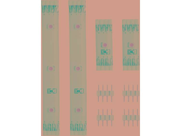 Paulmann LED-strip distance pack Koud-wit 12 V