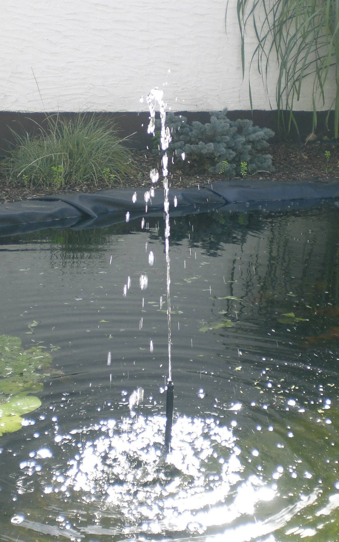 Fontein in een vijver, waterstraal spuit omhoog en creëert cirkels op het wateroppervlak, omgeven door planten.