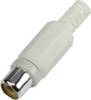 BKL Electronic 1108014 Cinch-connector Bus, recht Aantal polen: 2 Wit 1 stuk(s)